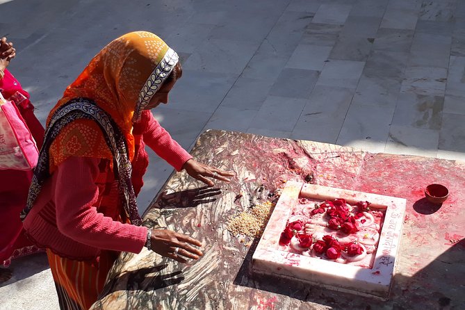 Private Sightseeing in Udaipur +Guide - Lake Pichola Experience