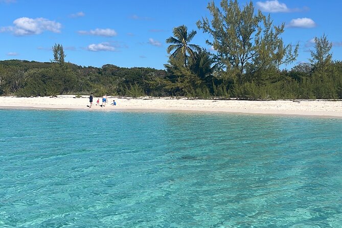 Private Small Group Excursion - Health and Accessibility