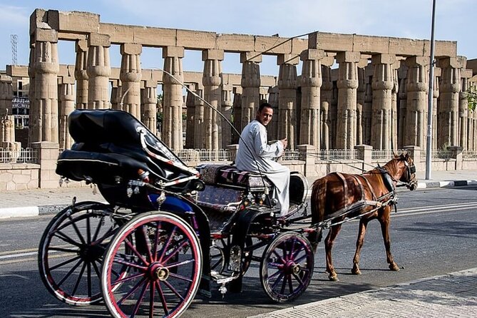 Private Sound and Light Show and Luxor City Tour by Carriage (3 * 1) - Accessibility Features