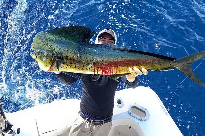 Private Sport Fishing Tours at Dreams Las Mareas - Activities Offered at Dreams Las Mareas