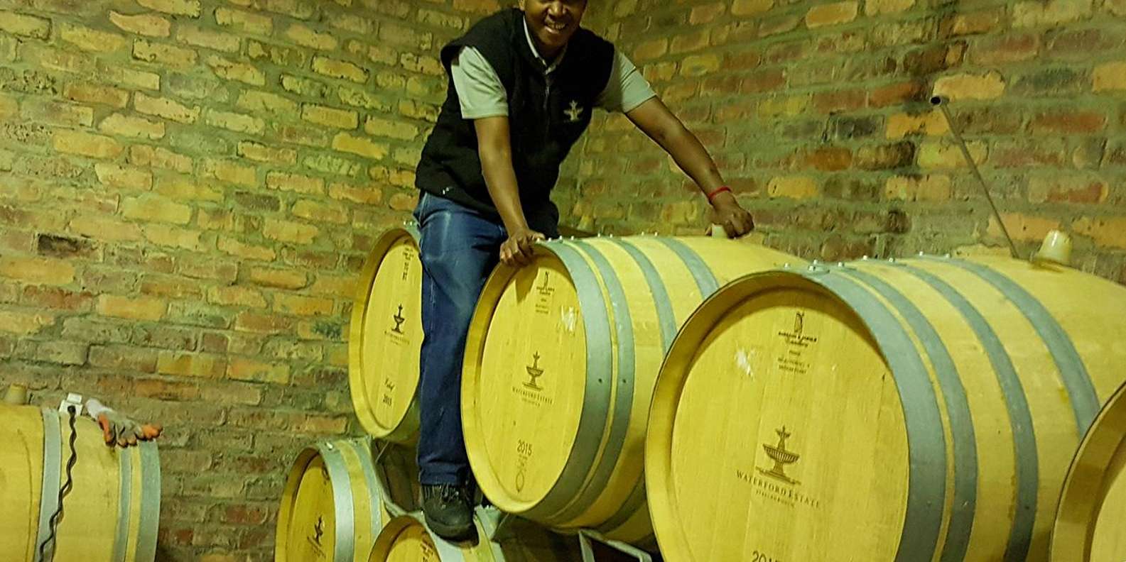 Private Stellenbosch Wine Tour - Tour Highlights