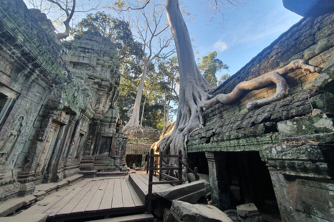 Private Sunrise and Sunset Angkor Park Tour With Rest Mid-Day - Traveler Experiences