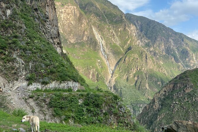Private Tour 3 Days in the Colca Canyon With Andean Ceremony - Traveler Reviews and Ratings
