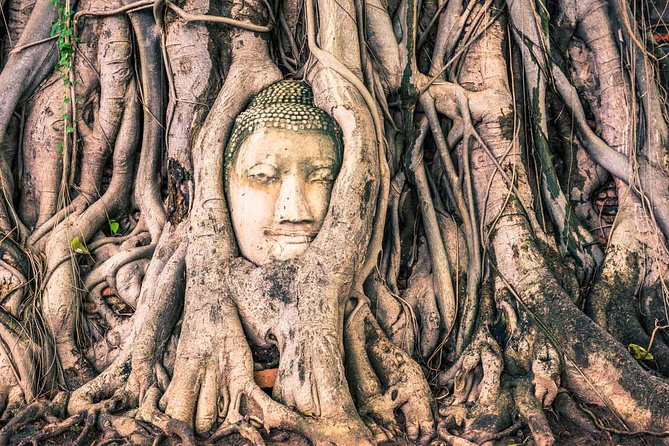 Private Tour: Ayutthaya Temples, Ruins and Lunch on River Cruise - Inclusions and Amenities