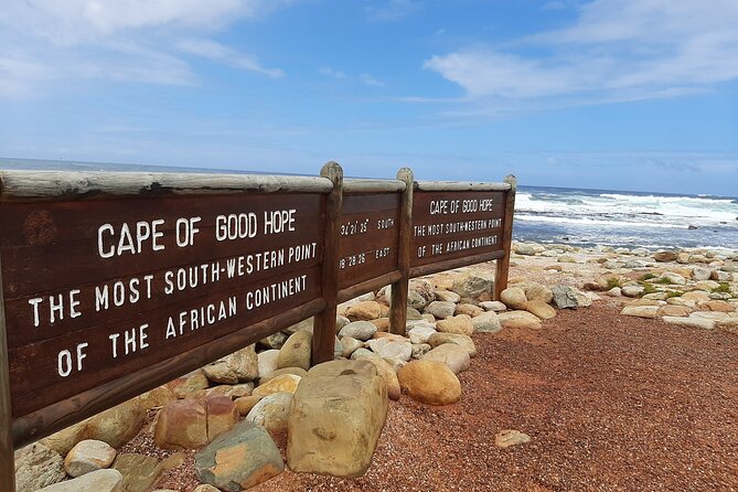 Private Tour Cape of Good Hope & Penguins Sightseeing Full Day - Reviews and Customer Feedback