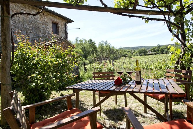 Private Tour From Livorno Port to Chianti Wine Region - Winery Visits and Tastings