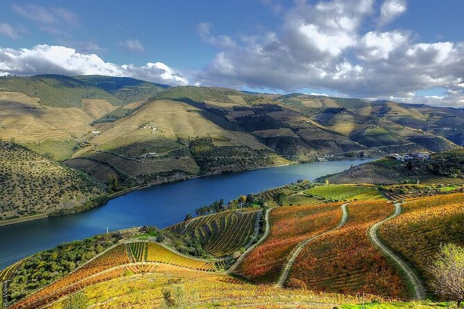 Private Tour in Douro - Accessibility and Participation