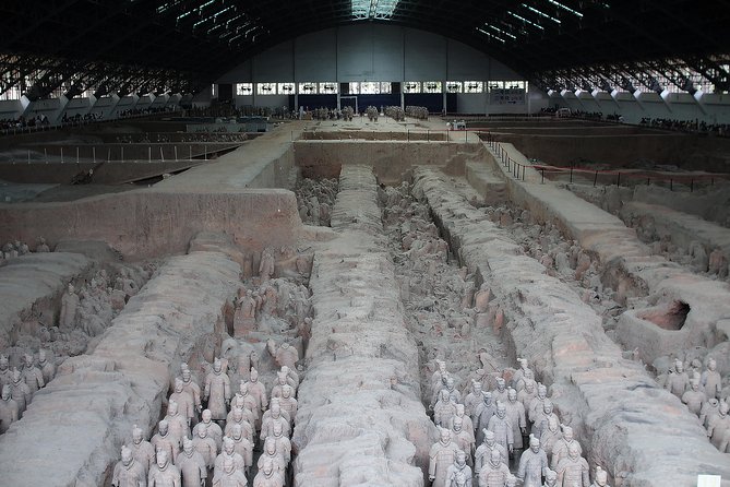 Private Tour in Terracotta Warriors Discovery - Reviews and Ratings