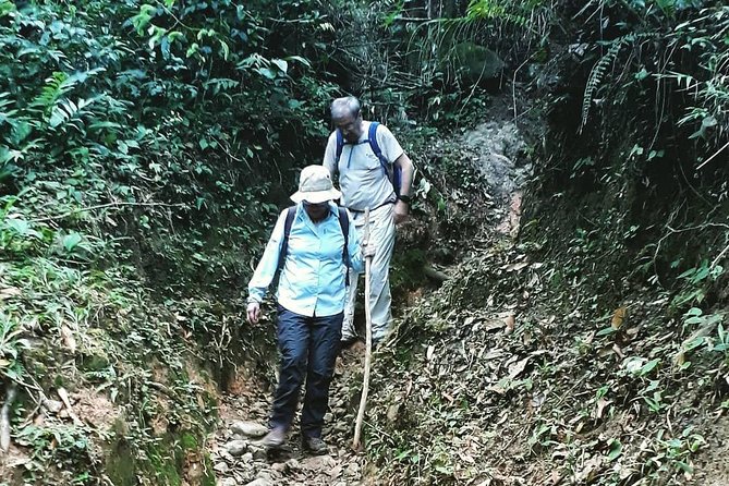 Private Tour - Mountain Hiking Within an Inhabited Volcano - Nature Connection and Biodiversity