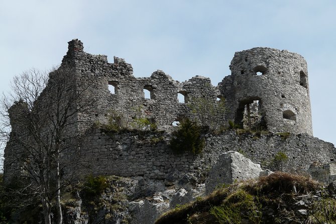 Private Tour of Neuschwanstein Castle & Highline 179 From Munich - Personalized and Flexible Experience