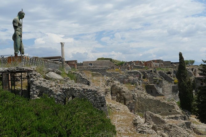 Private Tour of Pompeii With Official Tour Guide and Skip the Line Tickets - Reviews