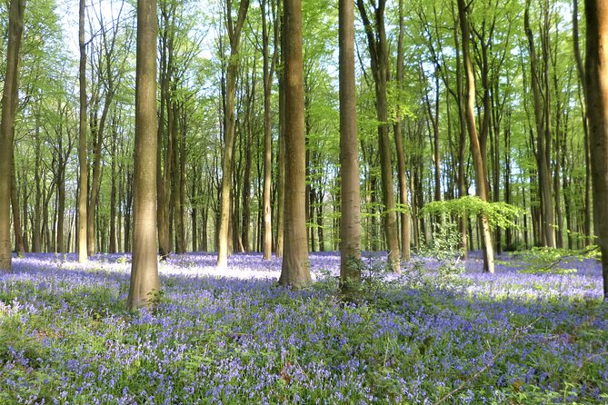 Private Tour of Wiltshire and Cotswold Villages and Countryside - Cancellation Policy