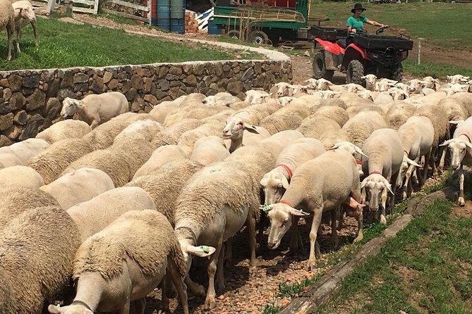Private Tour on Caminhos De Pedra in Bento Gonçalves RS - Gastronomy and Architecture
