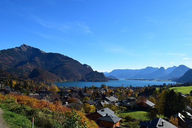 Private Tour: Salzburg Lake District and Hallstatt From Salzburg - Customer Reviews