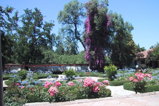 Private Tour: Santa Rita Vineyard With Wine Tastings - Wine Tastings Included
