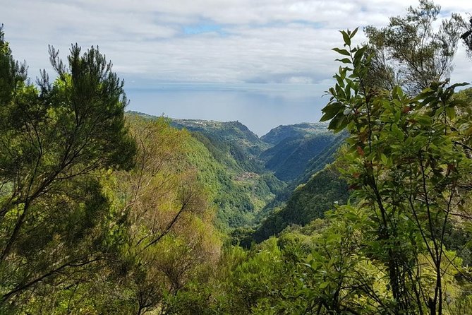 Private Tour The Biosphere Santana - What to Expect