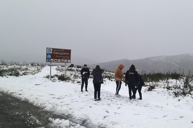 Private Tour Through Serra Da Estrela Park and Its Famous Cheese - Included Offerings