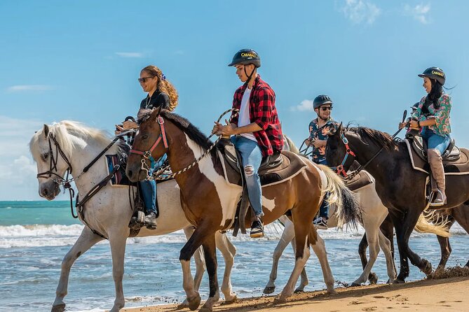 Private Tour to the East Side of Puerto Rico - Traveler Experiences: Positive Reviews