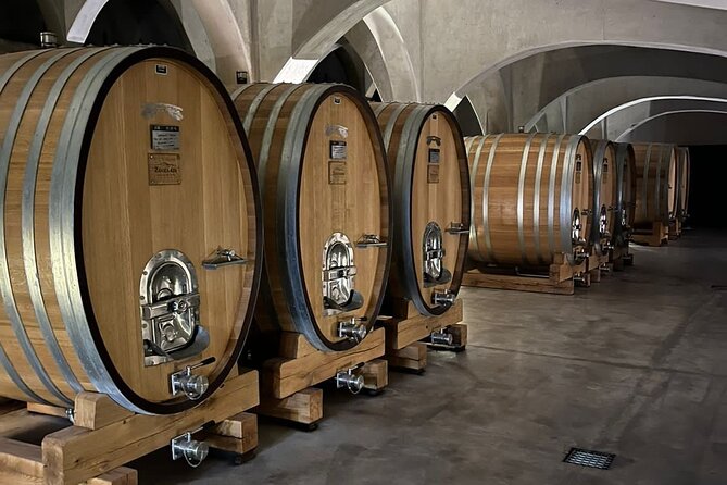 Private Tour: Wineries for the Day in Mendoza - Accessibility and Participation