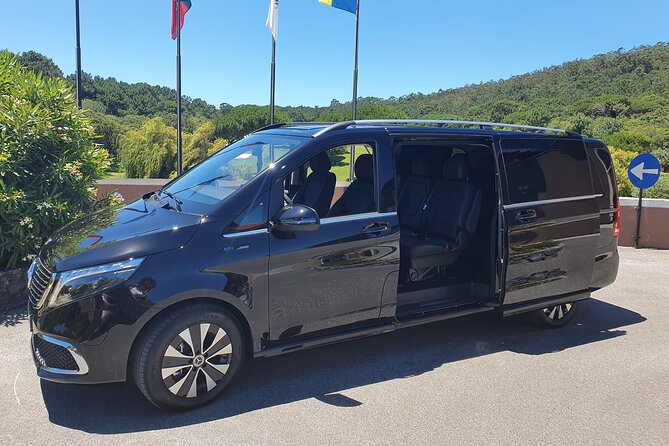 Private Transfer From Airport to Lisbon (Unlimited Waiting Time) - Accessibility and Participation