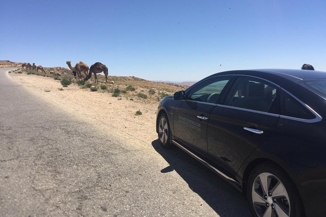 Private Transfer From Amman to Petra, Wadi Musa - Traveler Requirements and Accessibility