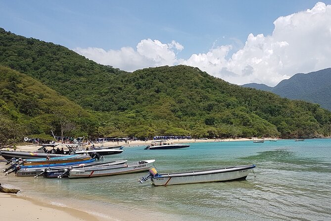 Private Transfer From Cartagena to Santa Marta - Cancellation Policy