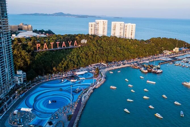 Private Transfer From Pattaya to Suvarnabhumi Airport - Vehicle and Amenities