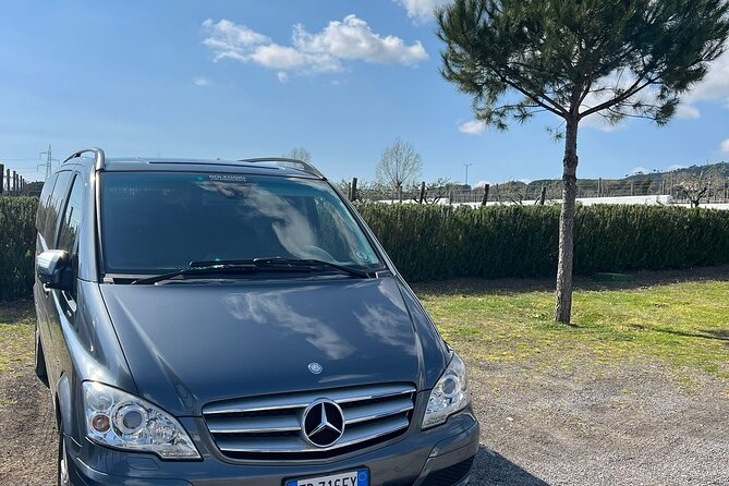 Private Transfer From Positano to Naples Airport - Customer Reviews and Ratings
