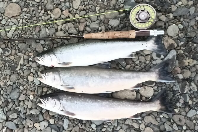 Private Trout and Char Fishing in Icelandic Serenity Experience - Booking Your Experience