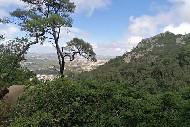 Private Tuk Tuk Tour Through Serra De Sintra - Tour Experience