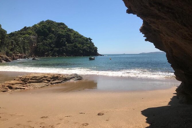 Private Walk Through Mangue De Pedras and Ponta Do Pai Vitório - Visitor Reviews