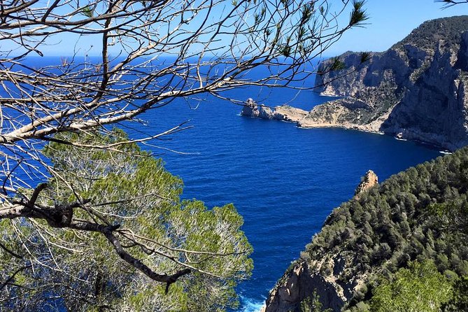 Private Walking & Hiking Experience Ibiza - Health and Accessibility
