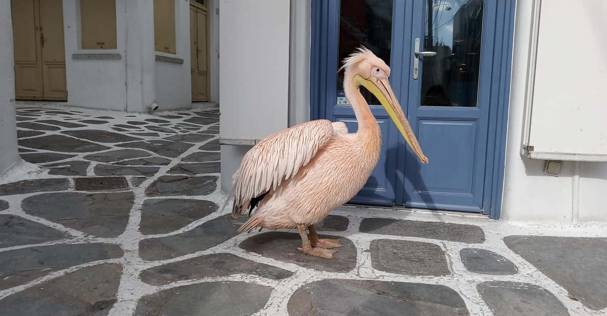 Private Walking Tour in Mykonos Town With a Local Guy - Itinerary Highlights