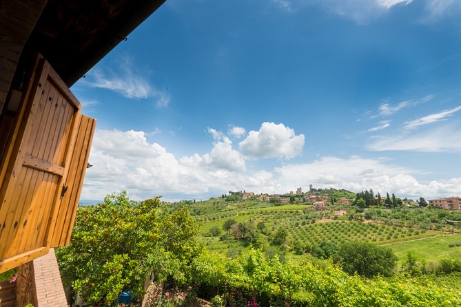 Private Wine & EVO Oil Tasting With Tuscan Meal - Tasting Menu Highlights