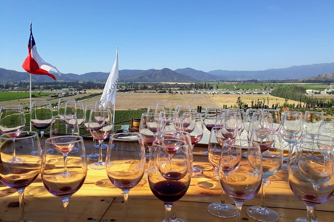 Private Wine Tasting Tour in Casablanca Valley Vineyards - Accessibility and Considerations