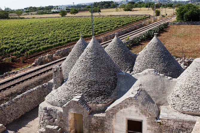 Private Wine Tour From Ostuni With Lunch Including Alberobello and Locorotondo - Wine Tasting Experience