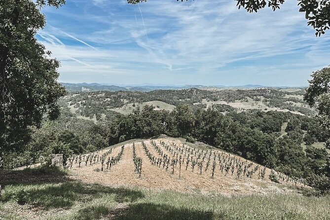 Private Wine Tour in Paso Robles - Customized Itinerary for Wine Connoisseurs