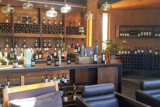 Private Wine Tour in Valparaiso - Transportation and Accessibility