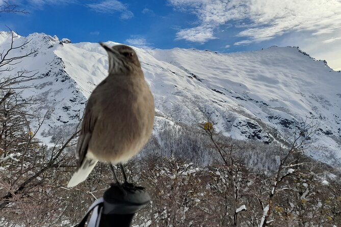 Private Winter Trekking Experience in Bariloche - Trekking Season and Conditions