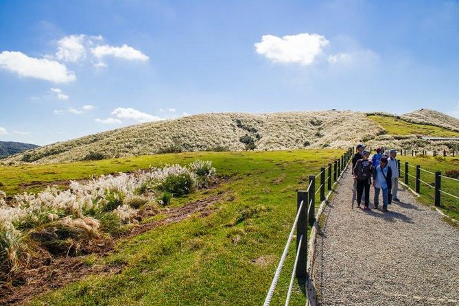 Private Yangmingshan & Beitou Tour From Taipei With Pickup - Accessibility Information