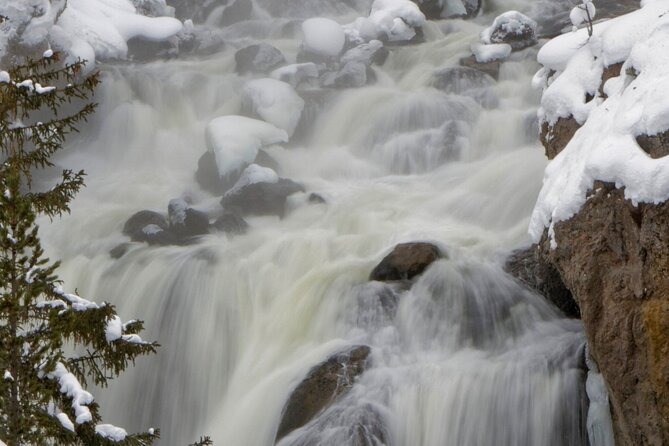 Private Yellowstone Winter Wolf Watching and Wildlife Safari - Experience Customization and Inclusions
