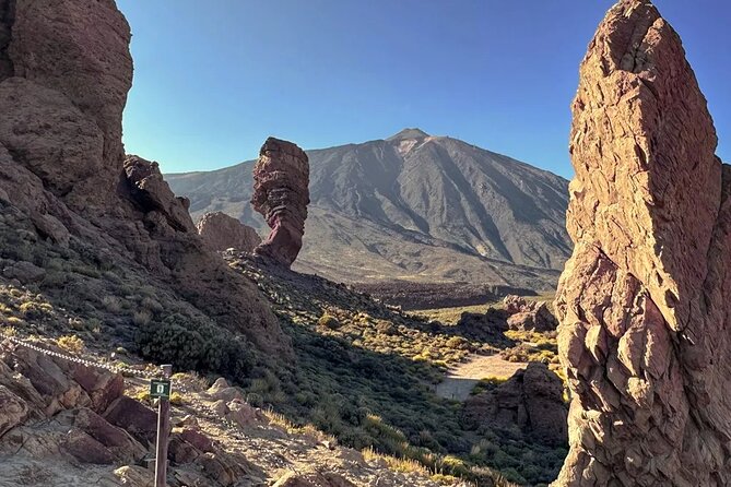 Professional Stargazing With Dinner on El Teide - Participation Details