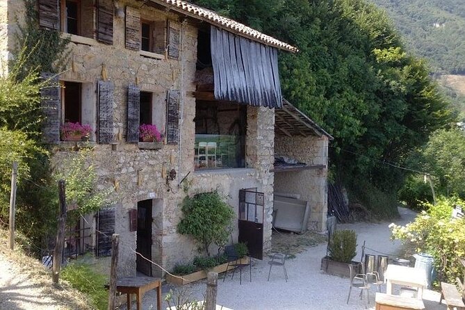 Prosecco Region Private Full-Day Winery Tour From Treviso - Prosecco Wine Education