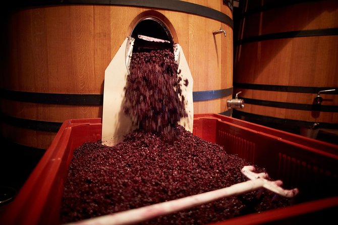 Provence Private Full Day Wine Tour With Wine Tasting - Discovering Provences Distinctive Wine Terroir