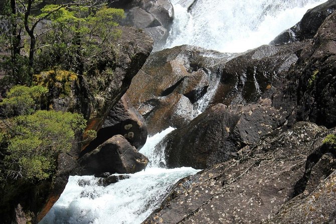 Puerto Blest Cruise & Waterfalls Hike With Optional Frias Lake - Meeting Points and Logistics