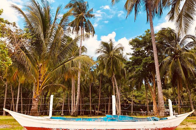 Puerto Princesa Honda Bay Island Hopping Shore Excursion - Cancellation Information