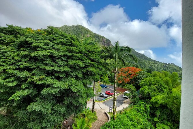 Puerto Rico: El Yunque Sightseeing Half-Day Tour With Transfer - Health and Safety Guidelines