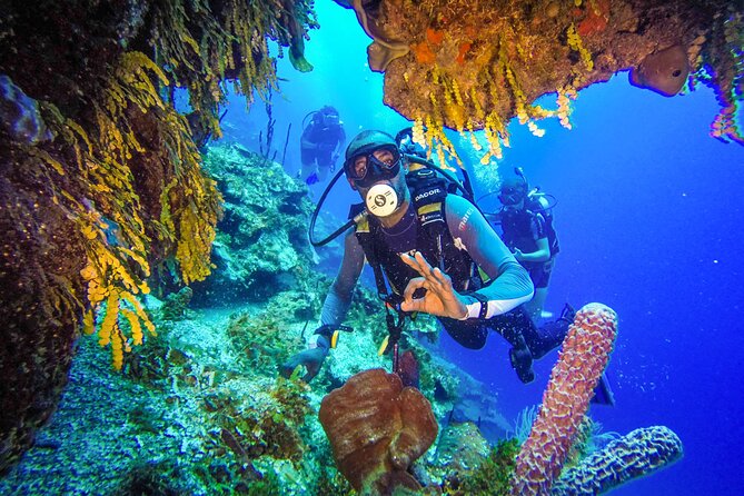 Punta Cana Reef Diving Adventure Explore Underwater Wonders - Underwater Wonders Await