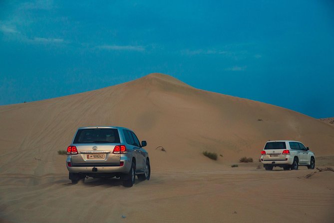 Qatar Desert Safari + Keshta Half Day Tour - Customer Reviews