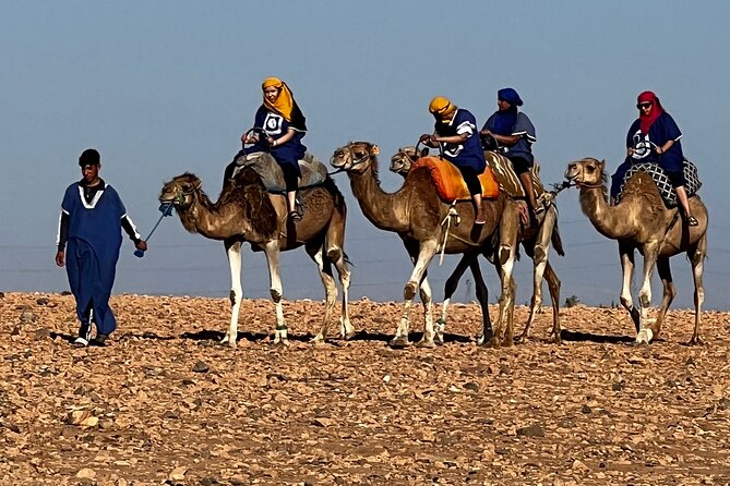 Quad and Camel Ride in La Palmeraie of Marrakech - Safety Measures